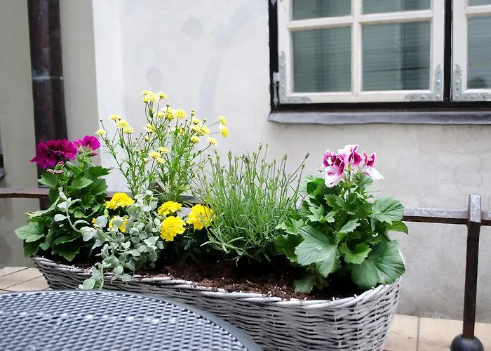 Red Nose With Self-check In 旅馆